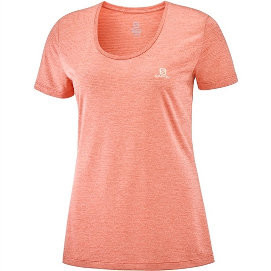 Salomon AGILE SS W T-shirt Dam Korall | 697108-OWN