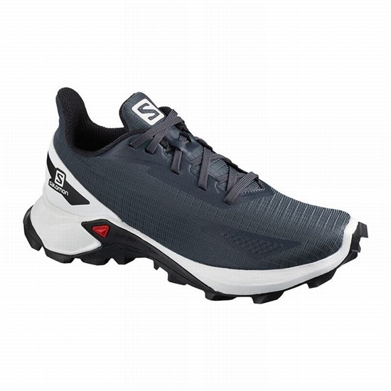 Salomon ALPHACROSS BLAST Trail löparskor Barn Grey/White | 509173-AEX