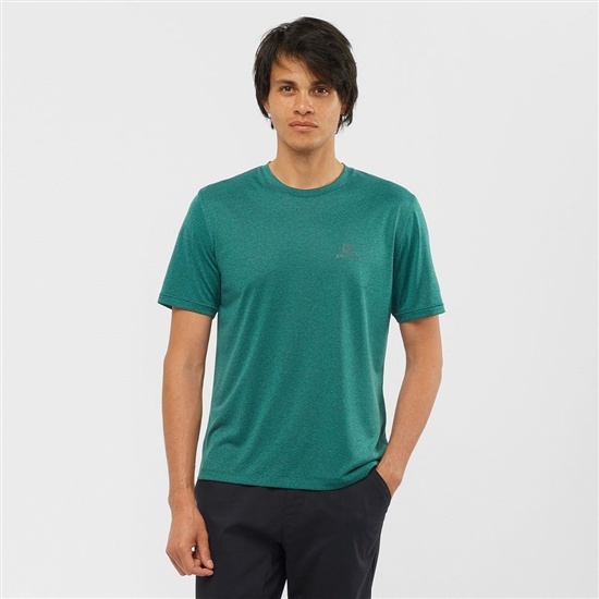 Salomon EXPLORE M Kort Sleeve T-shirt Herr Gröna | 304921-VPA