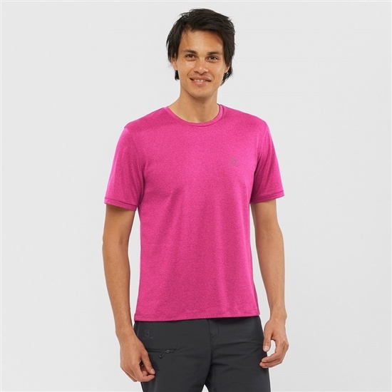 Salomon EXPLORE M Kort Sleeve T-shirt Herr Blå | 350624-UTY