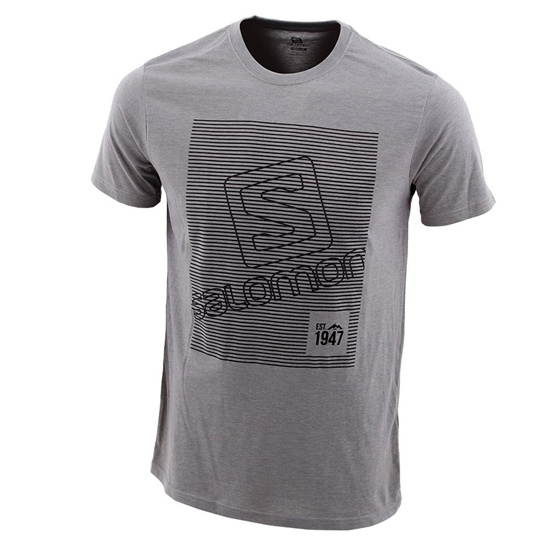 Salomon FINELINE SS B T-shirt Barn Grå | 385672-ULP