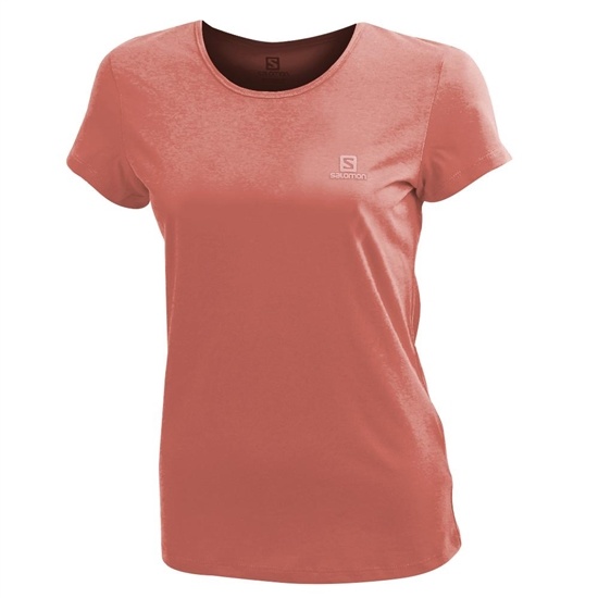 Salomon LOGO SS W T-shirt Dam Korall | 967052-JTH