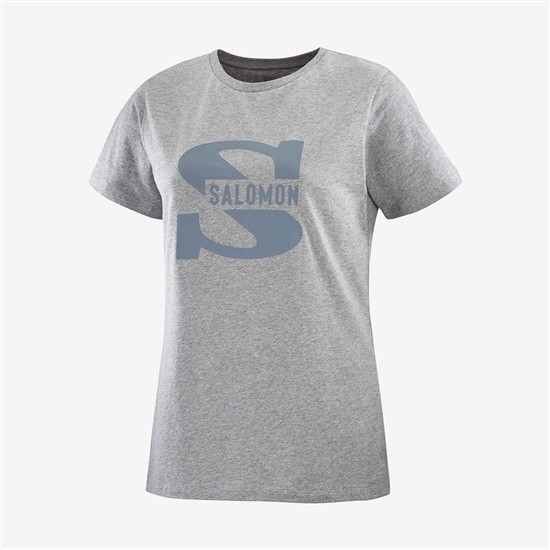 Salomon OUTLIFE BIG LOGO Kort Sleeve T-shirt Dam Grå | 901847-VMW