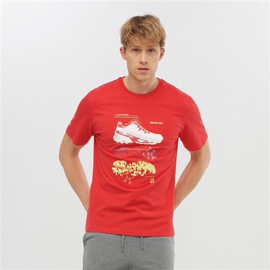 Salomon OUTLIFE GRAPHIC BLUEPRINT SS M Kort Sleeve T-shirt Herr Röda | 517086-VTW