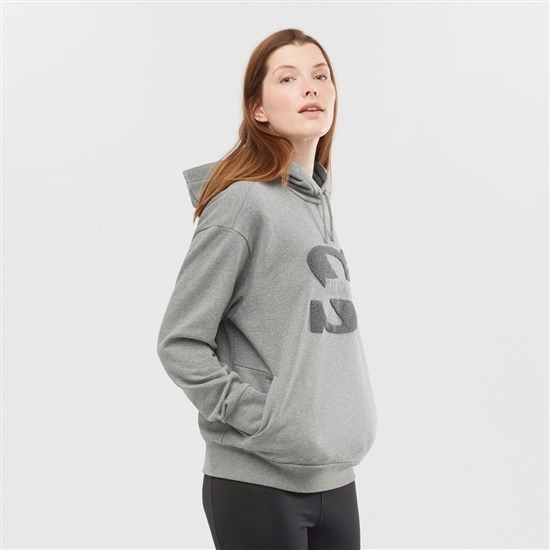 Salomon OUTLIFE LOGO SUMMER Hooded Sweatshirt Dam Grå | 487596-DJQ