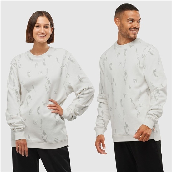 Salomon OUTLIFE LOGO SUMMER Sportswear Hoodie Herr Gray | 731042-AER