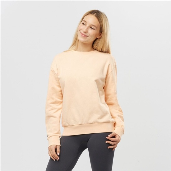 Salomon OUTLIFE SUMMER Crewneck Sweatshirt Dam Beige | 168473-MFW