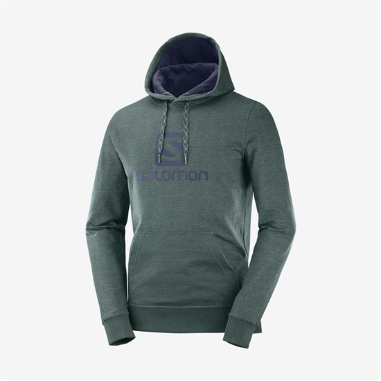 Salomon SHIFT HOODIE M Midlayers Hoodie Herr Gröna | 521483-UZG